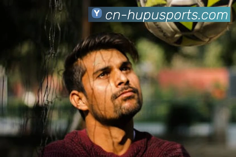 球赛投注平台生态图