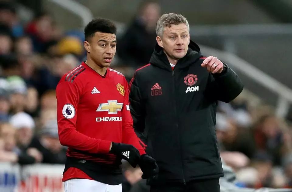 获得男单铜 获得男单铜